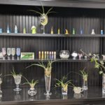 display of spider plants, various peg dolls and essential oil products on black hutch